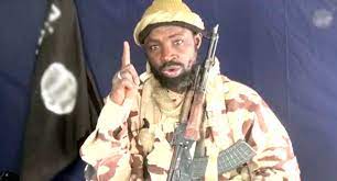 Abubakar Shekau, leader of a Boko Haram faction